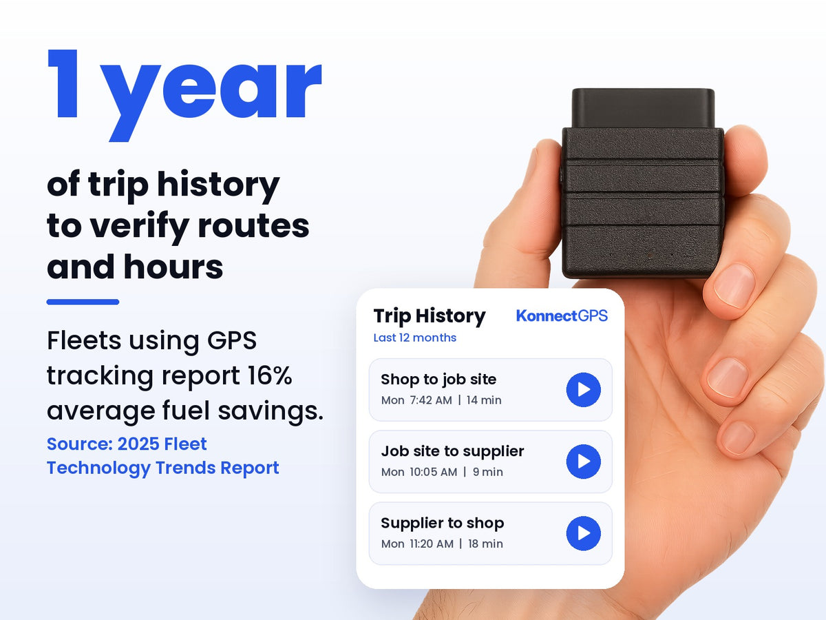 A Full Year Of Every Trip