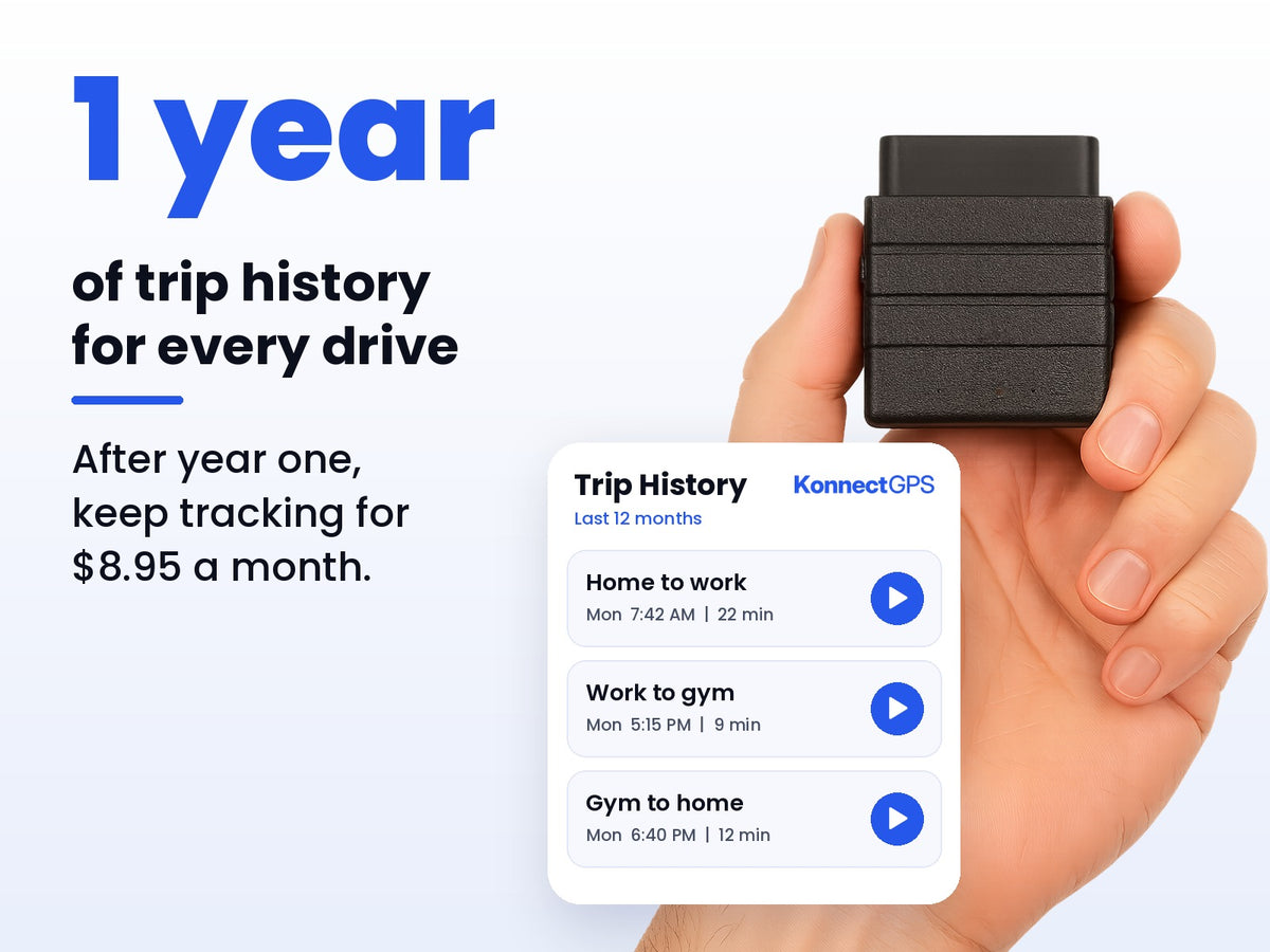 A Full Year Of Every Trip
